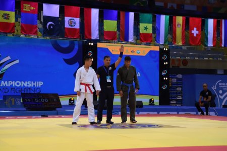 Чемпионат мира по рукопашному бою 2023