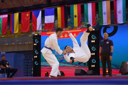 Чемпионат мира по рукопашному бою 2023