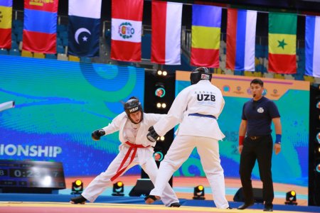 Чемпионат мира по рукопашному бою 2023