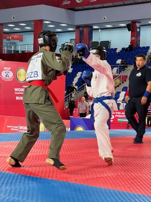 Чемпионата мира по рукопашному бою в Узбекистане