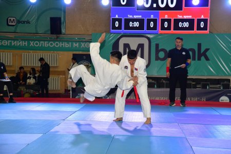 Чемпионат Монголии по рукопашному бою